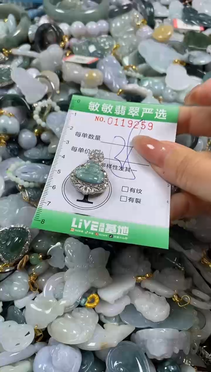 【闪购商品】翡翠颈饰未镶嵌闪购0119259