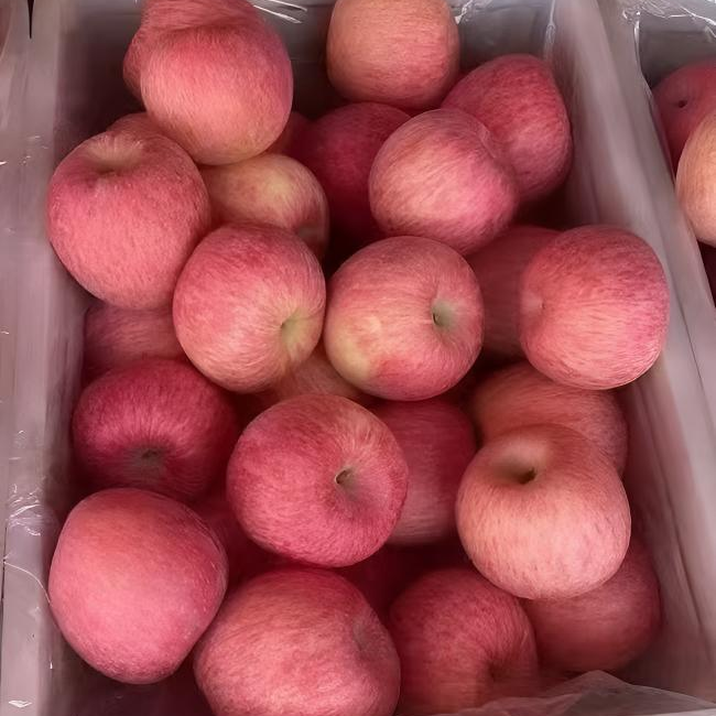 陕西洛川红富士苹果脆甜多汁当季新鲜水果尝鲜装