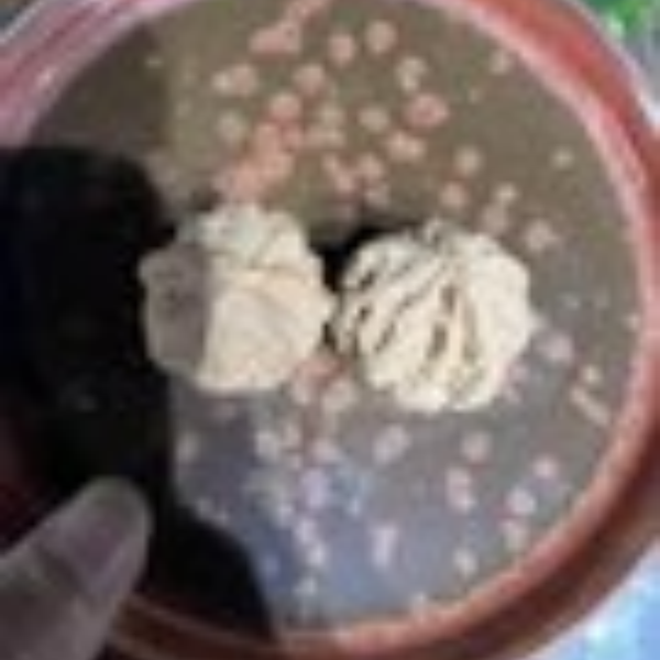 XD473精品文玩手串无礼盒