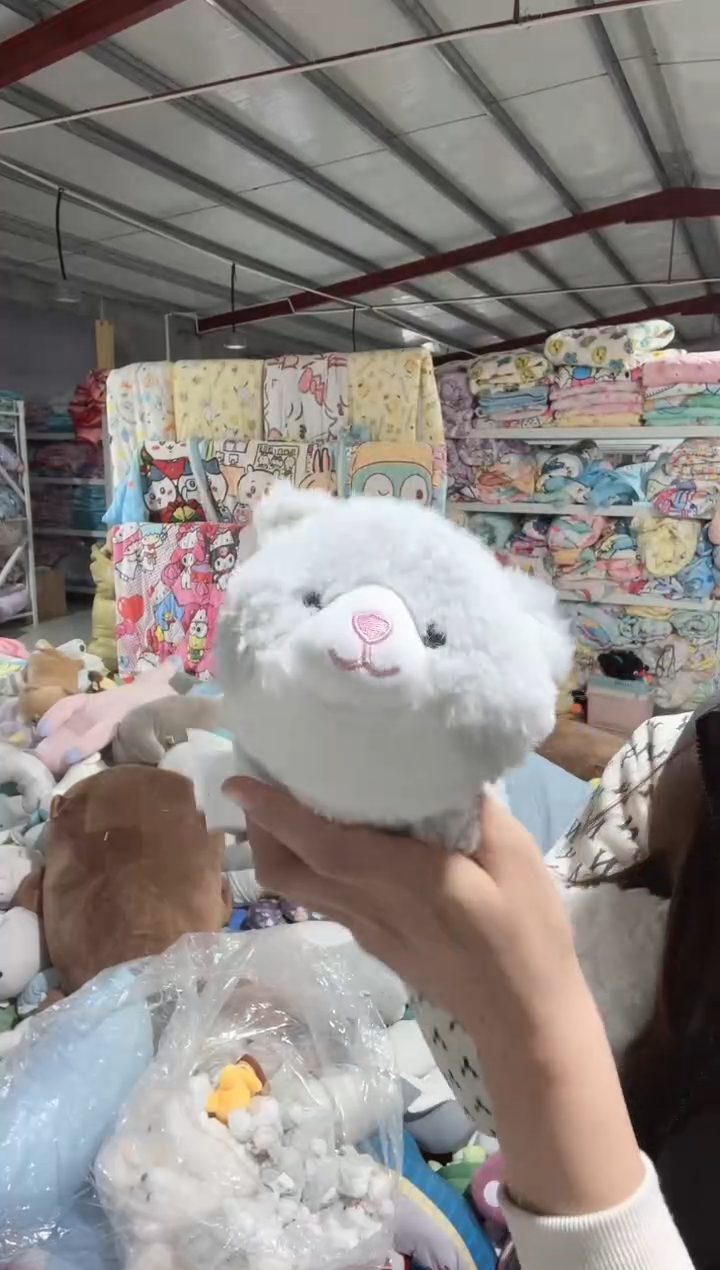 瑕疵  小号  小猫   