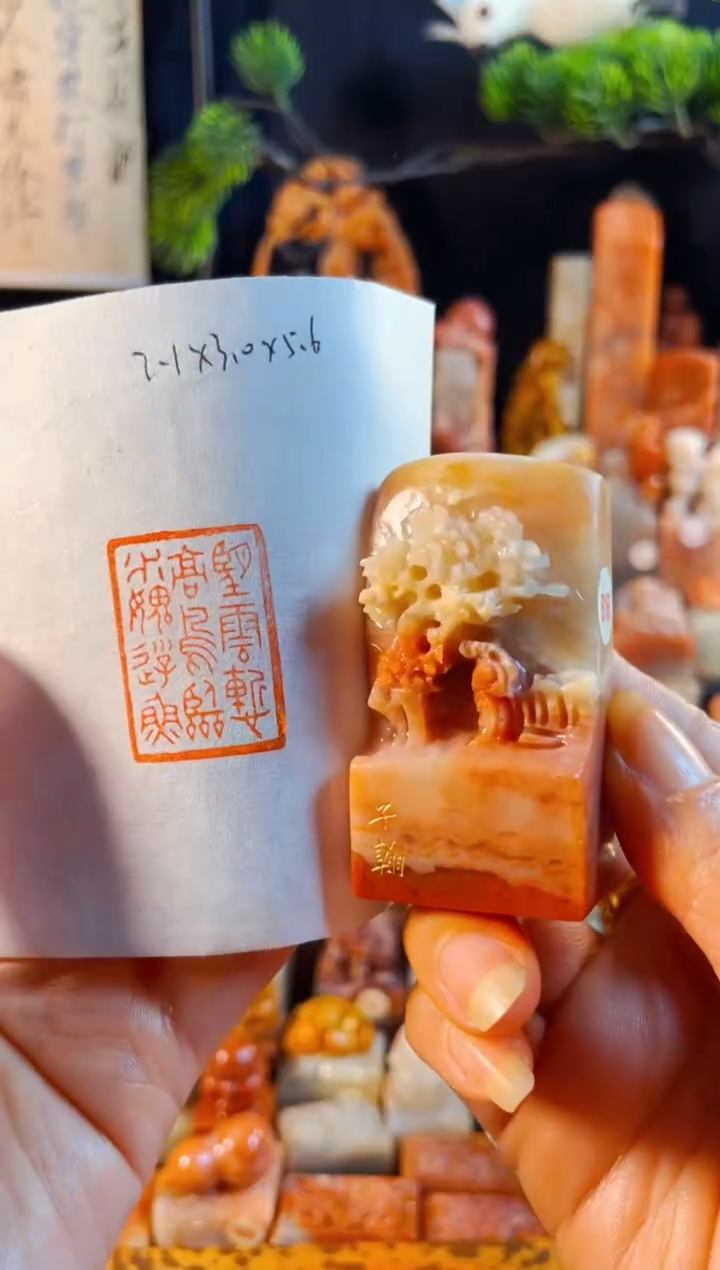 老挝石印石手工篆刻《望云渐高鸟 临水愧游鱼》
