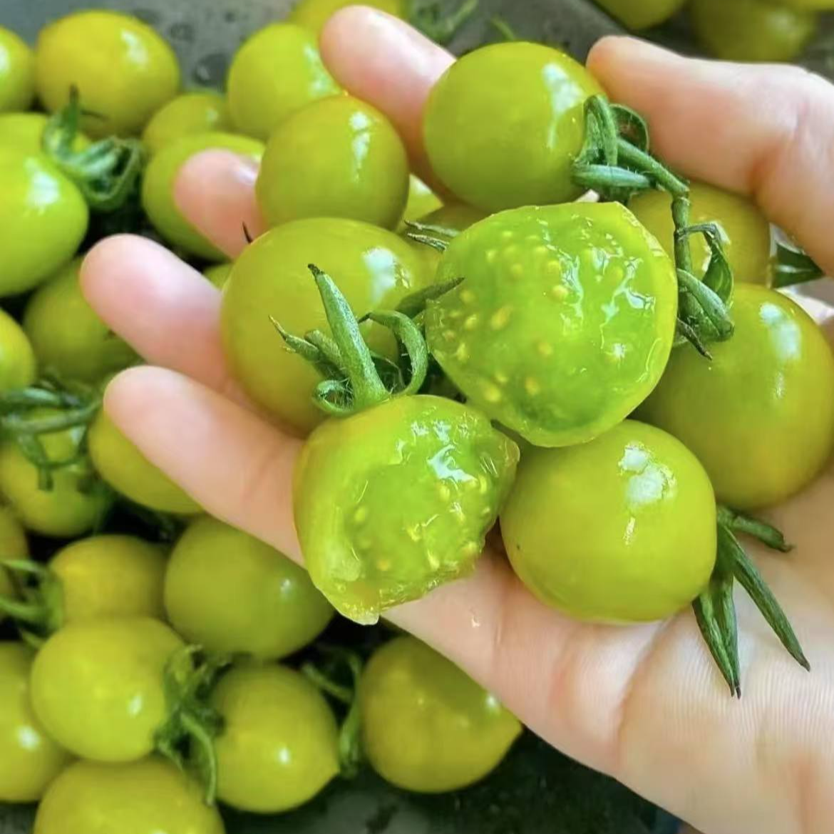 青甜2号小千禧礼盒装一箱（带箱2.3斤左右/份）