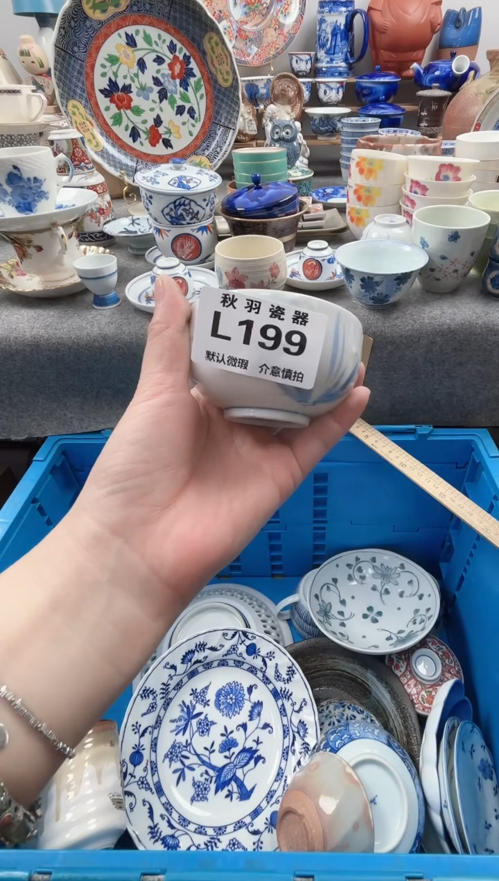 日式看*默认微瑕秋羽L199