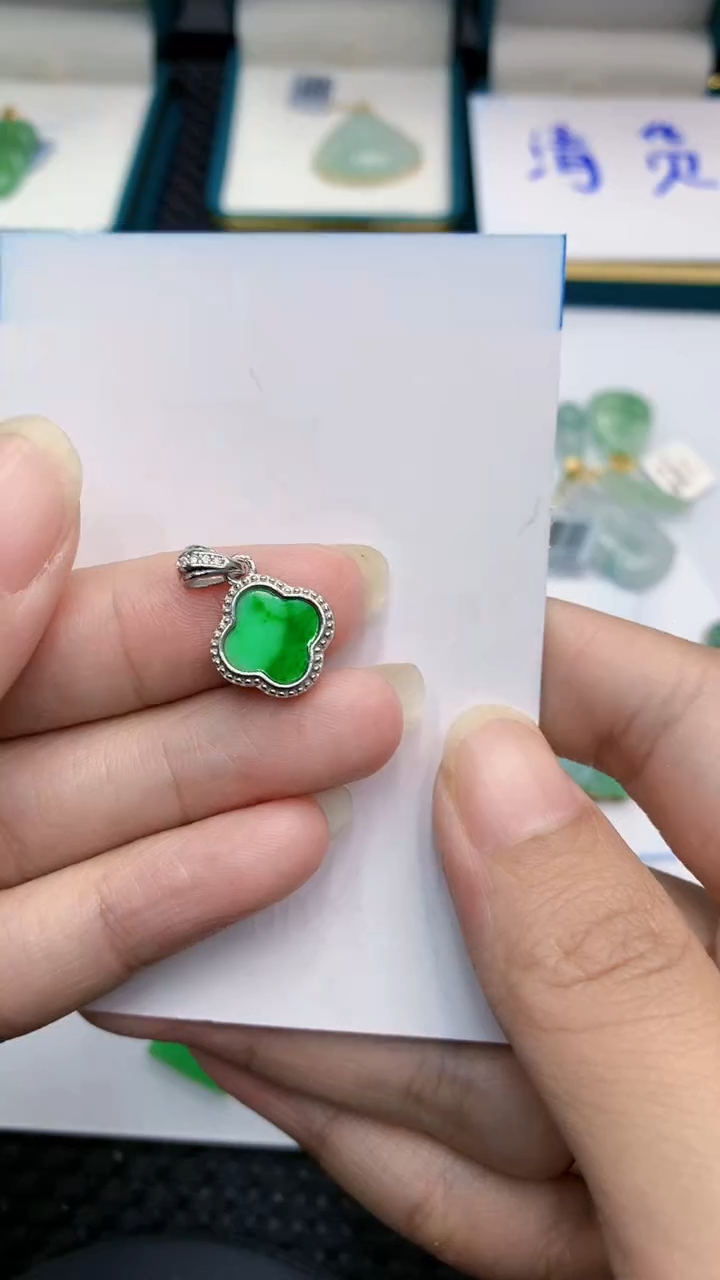 【闪购商品】翡翠颈饰银S925镶嵌            8