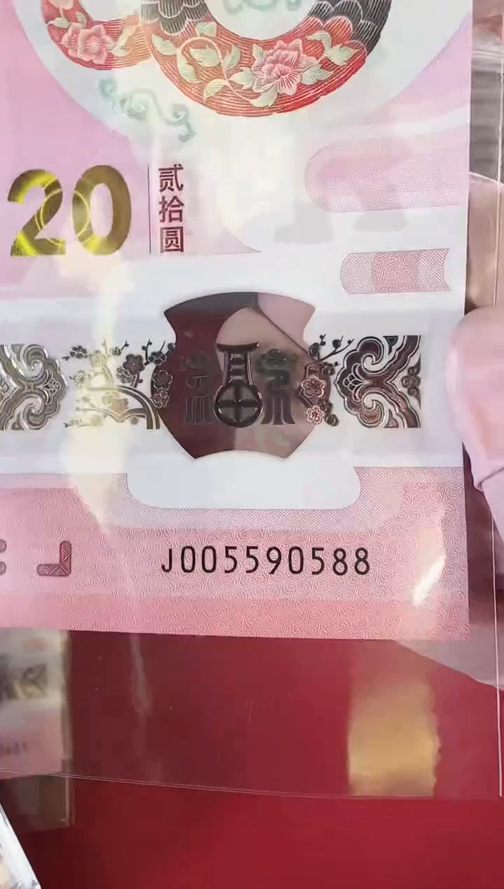 【闪购商品】塑料2025蛇钞啊啊啊啊啊啊单张