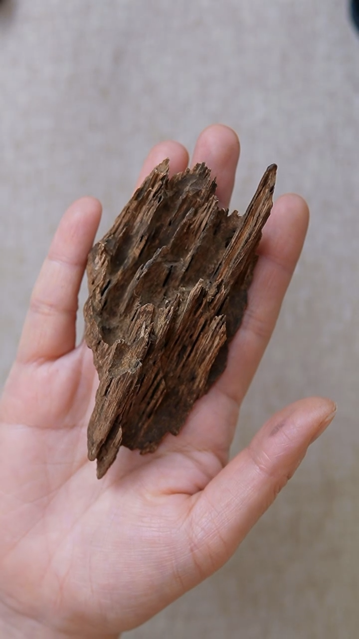 沉香沉香碎屑文莱17g