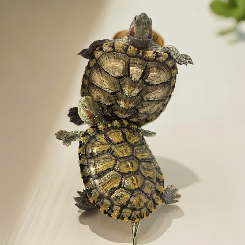 通用活体宠物链接