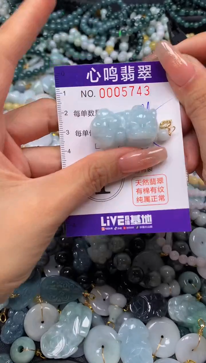 翡翠未镶嵌颈饰闪购005743