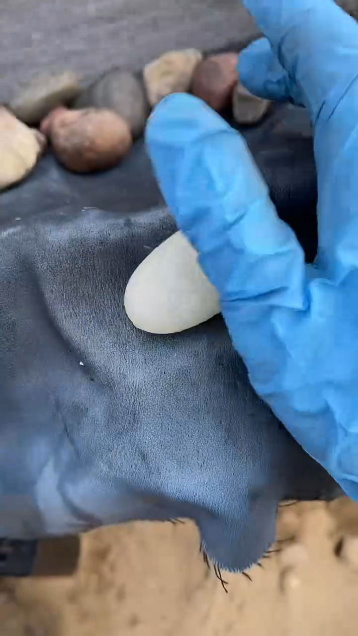 颈饰未镶嵌和田玉（糖玉）0013