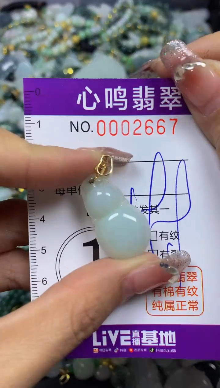 【闪购商品】翡翠颈饰未镶嵌闪购002667