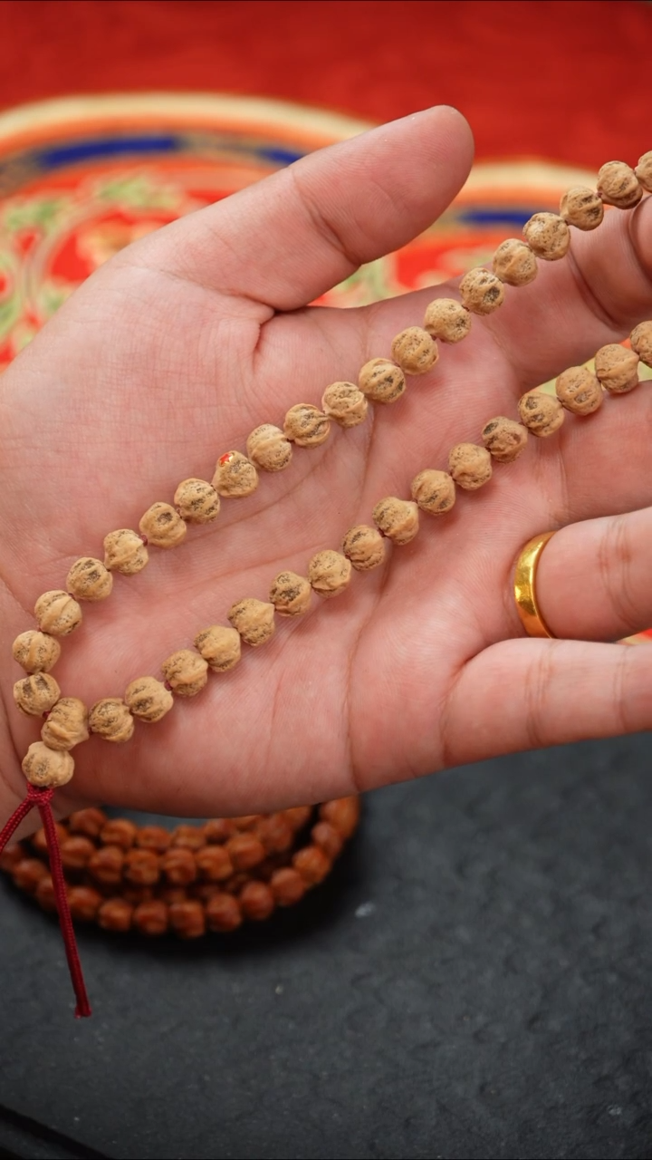 【闪购商品】柏香籽/百香籽手串宇宙手持金标