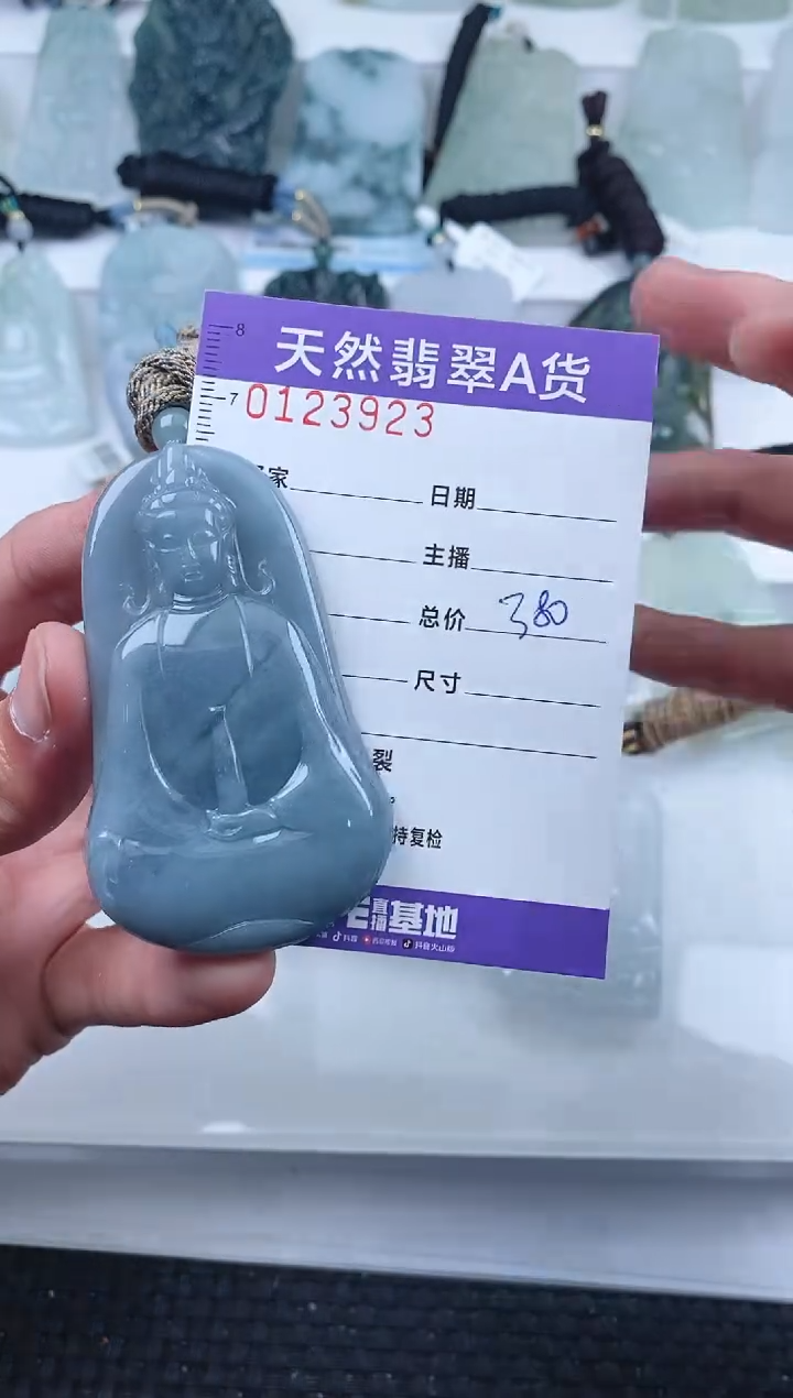 【闪购商品】翡翠颈饰未镶嵌         923