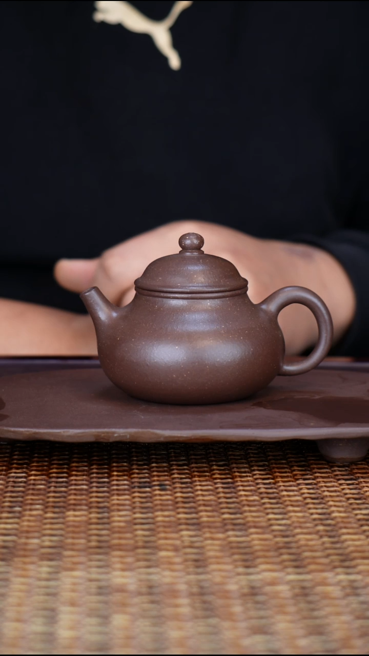 茶壶紫砂汀禾紫砂《容天》