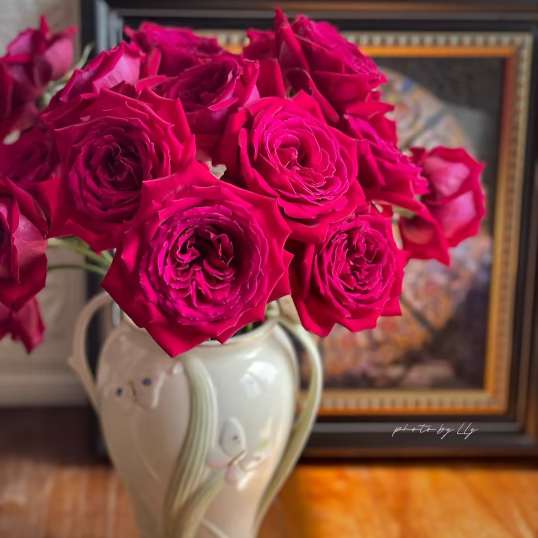 【一品花集】【恩钿夫人】单头玫瑰 云南昆明基地直发家用鲜花