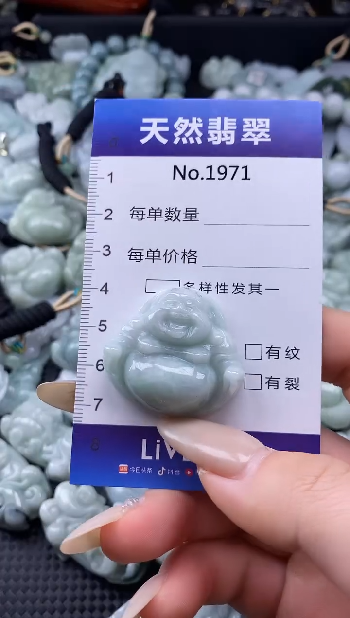 【闪购商品】翡翠颈饰未镶嵌缅甸A货翡翠1971