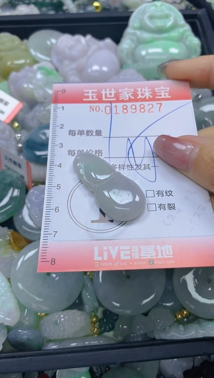【闪购商品】翡翠颈饰未镶嵌闪购0189827
