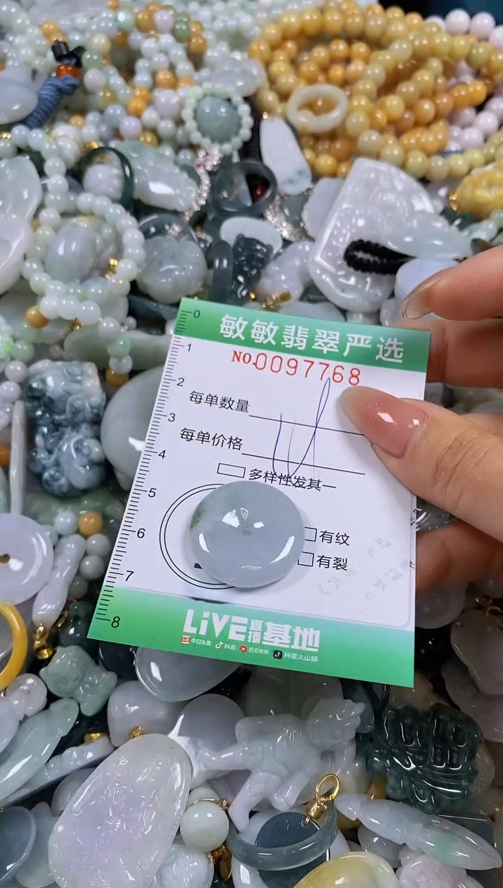 【闪购商品】翡翠颈饰未镶嵌闪购0097768