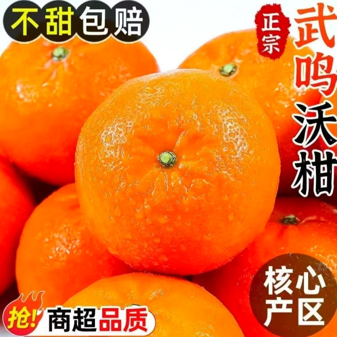 【新春补贴】正宗广西时令水果武鸣沃柑（60-75mm）脆甜多汁新鲜采摘皮薄肉厚老树果