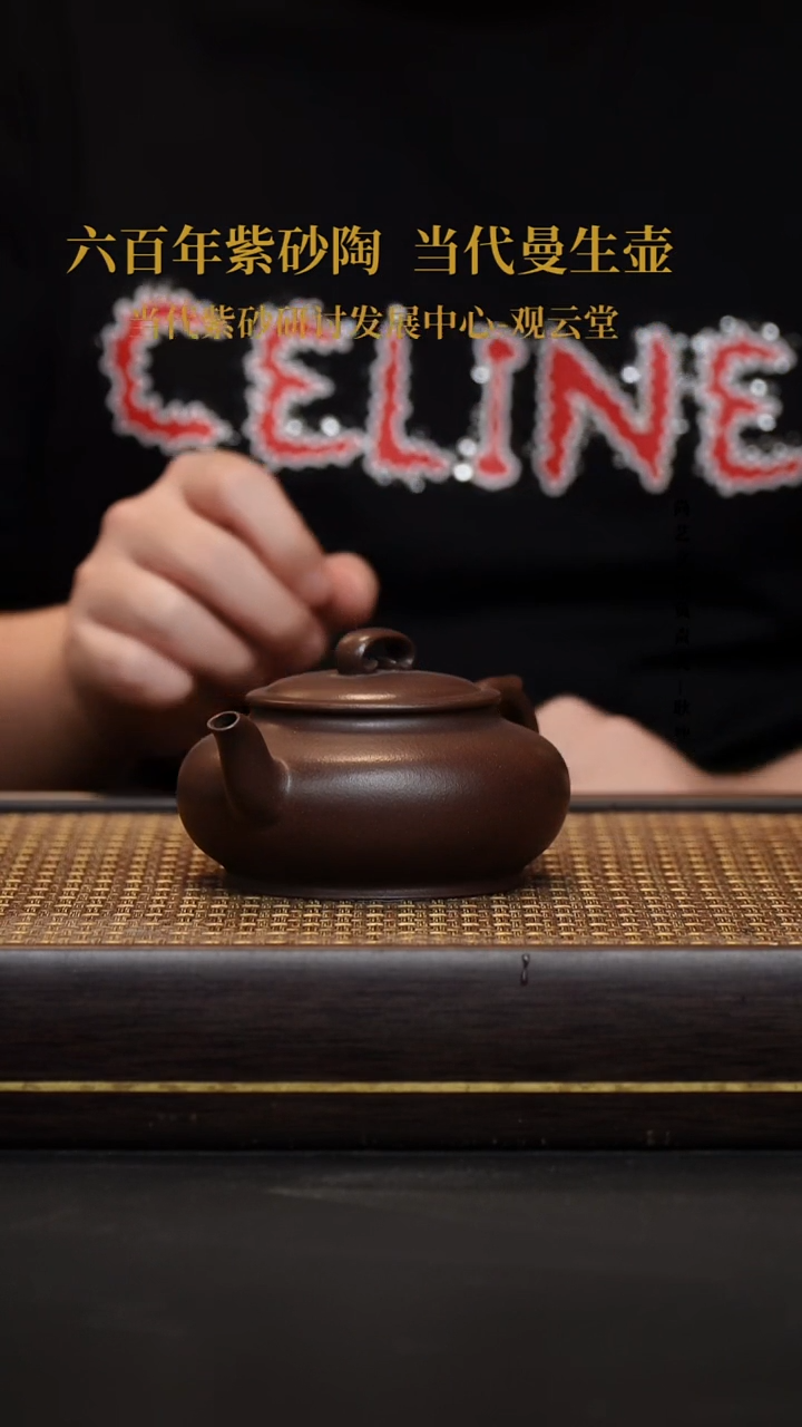 茶壶紫砂紫砂茶壶黑星土飞鸿