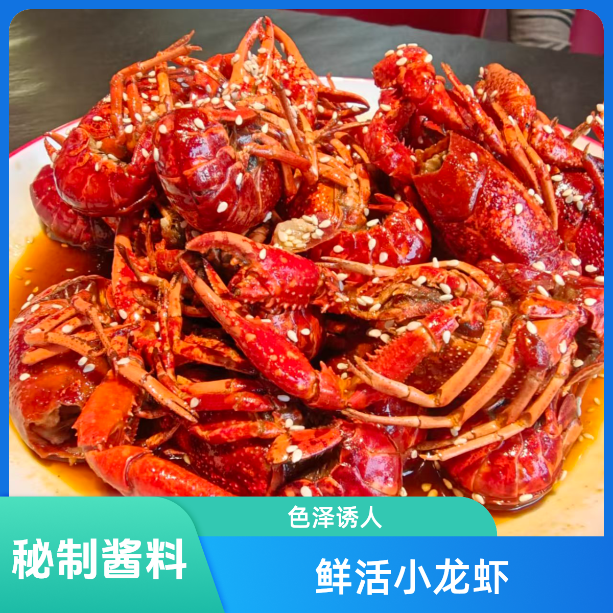 香辣/蒜蓉小龙虾5斤