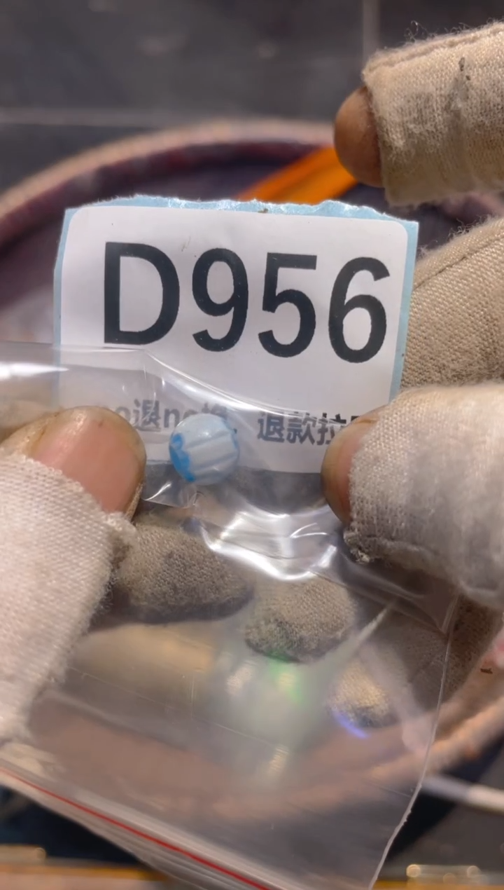 瓷片叶**业表妹火爆热卖热卖！