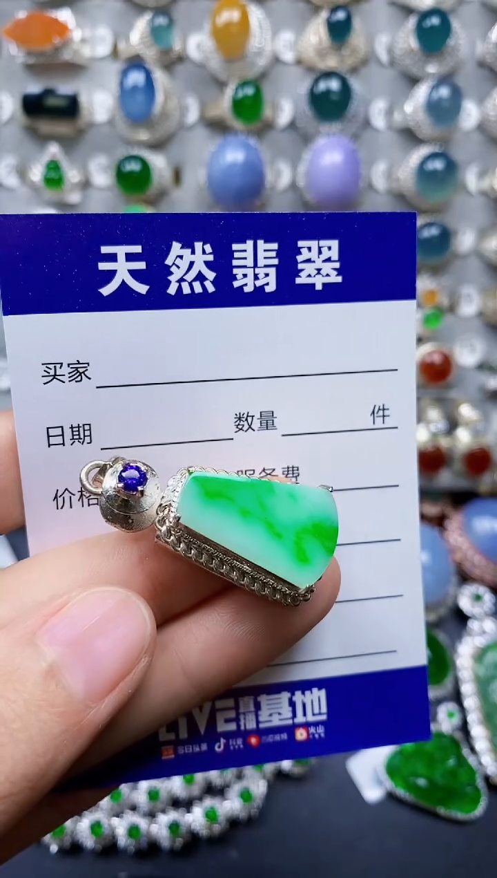 【闪购商品】翡翠颈饰未镶嵌00000451