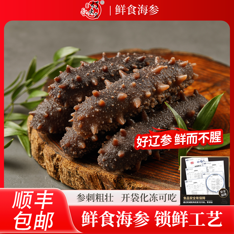 灯火岛鲜食海参500g/盒 刺参  开袋即食 商品图
