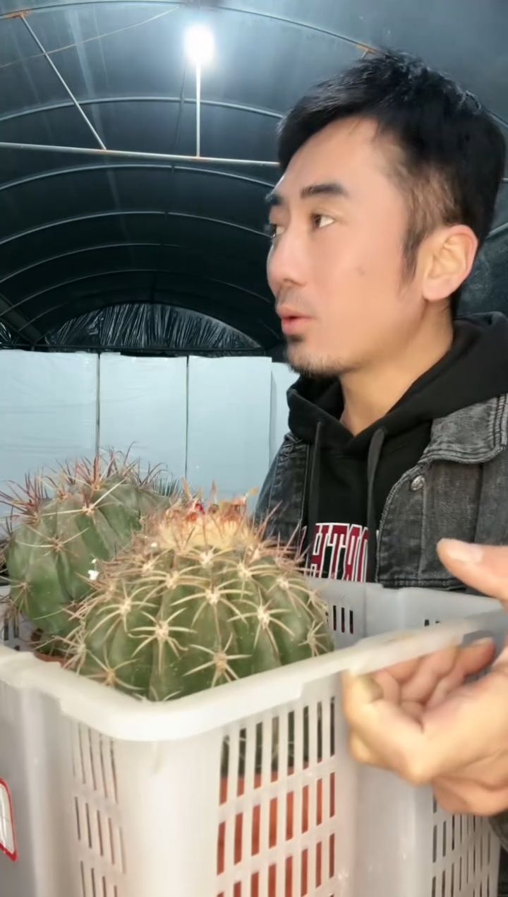 【闪购商品】筐拍 6号