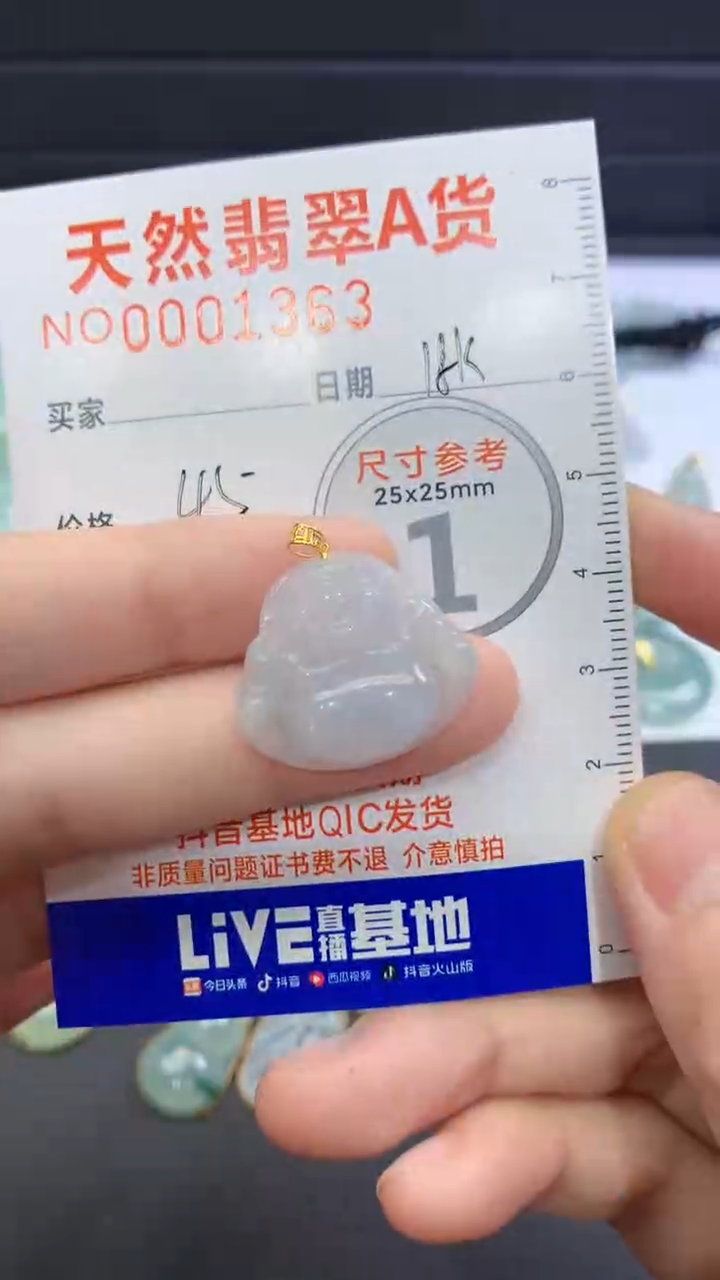 【闪购商品】翡翠颈饰未镶嵌翡翠