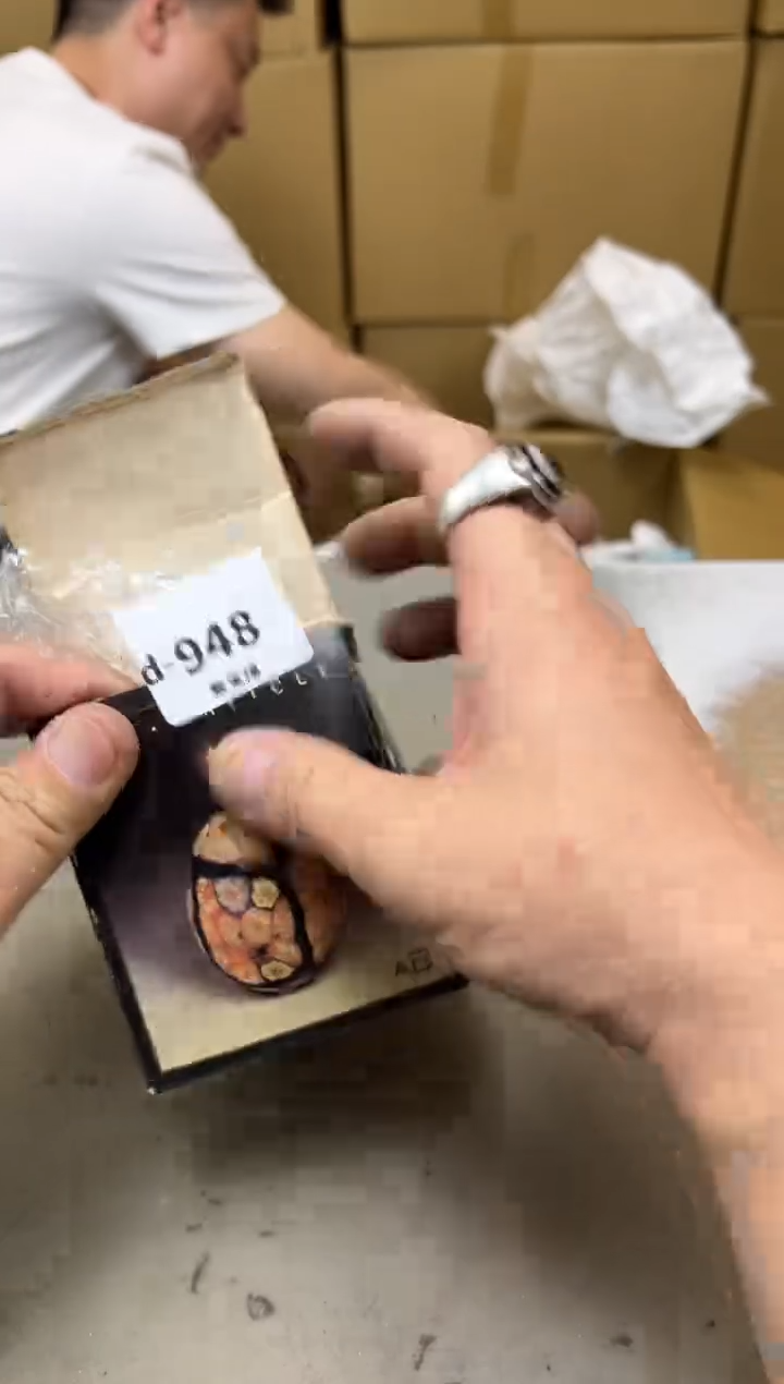 瓷片948 聚宝缘海陶精选