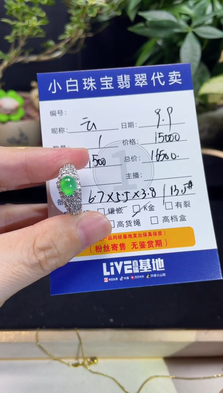 吊坠(不含链)18K金镶嵌翡翠云*戒指