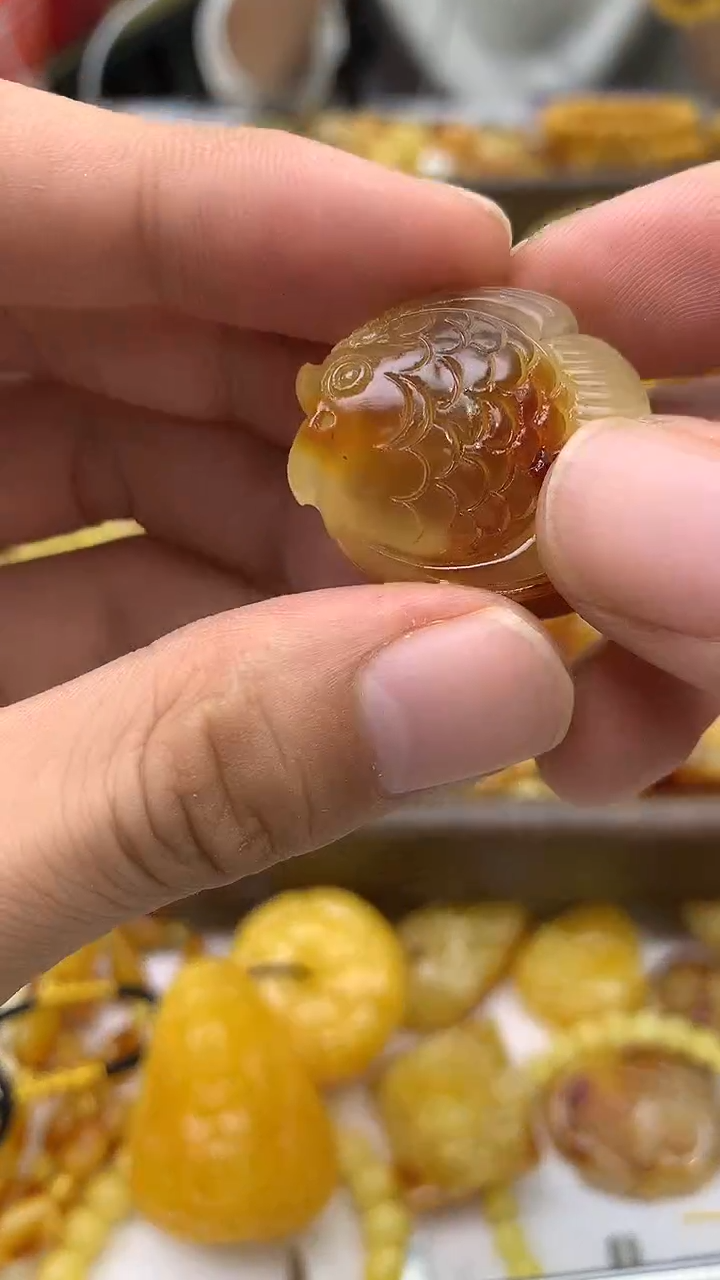 裸石琥珀未镶嵌鱼