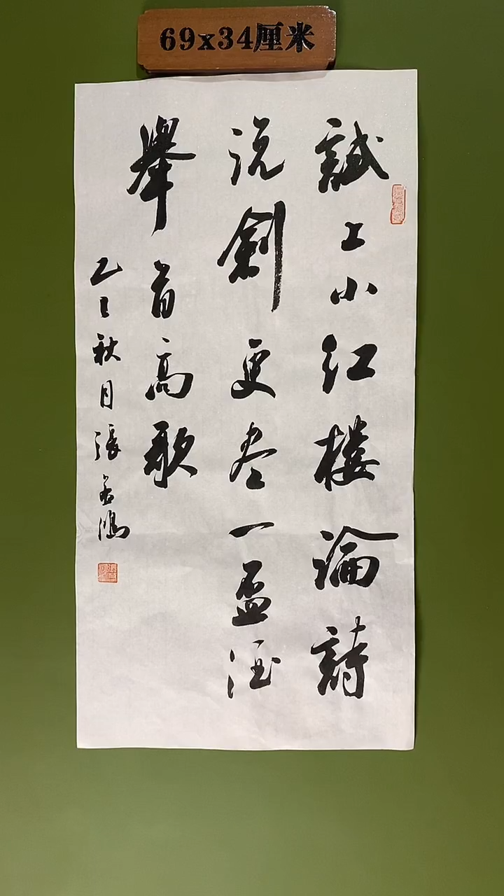 书法书法 张若鸿 尺寸69cm*34cm