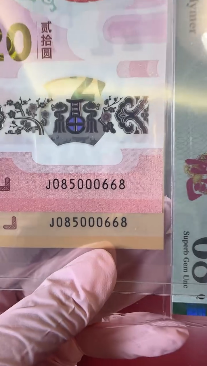 【闪购商品】塑料2025龙蛇 啊啊啊啊啊啊啊啊全同号裸