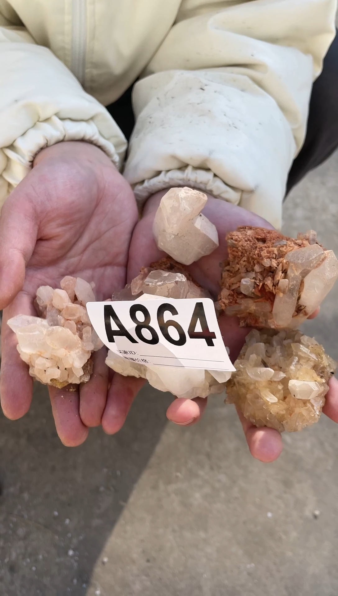 【闪购商品】水晶摆件未镶嵌水晶  多样性发一个  864