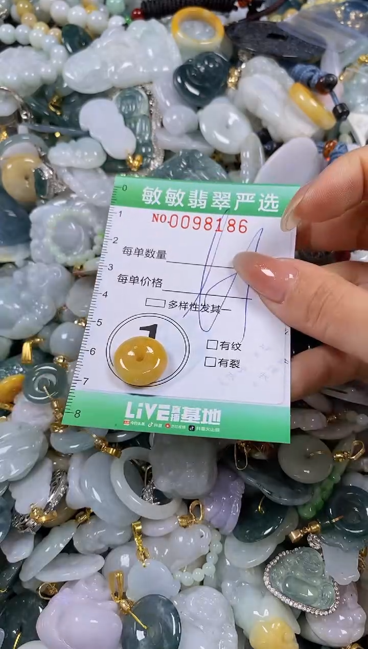 【闪购商品】翡翠颈饰未镶嵌闪购0098186