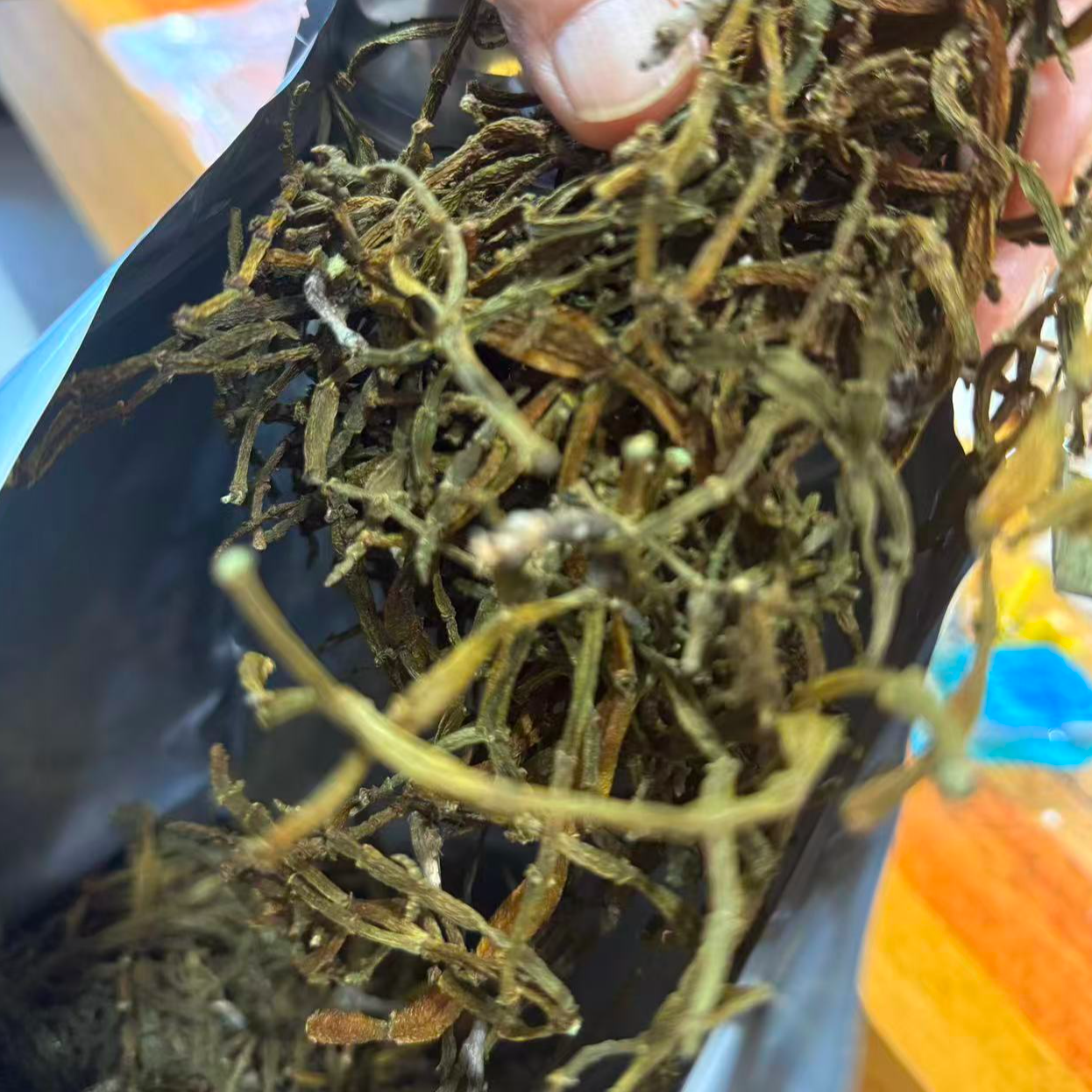 南糯山高山古树茶树上的螃蟹脚50g