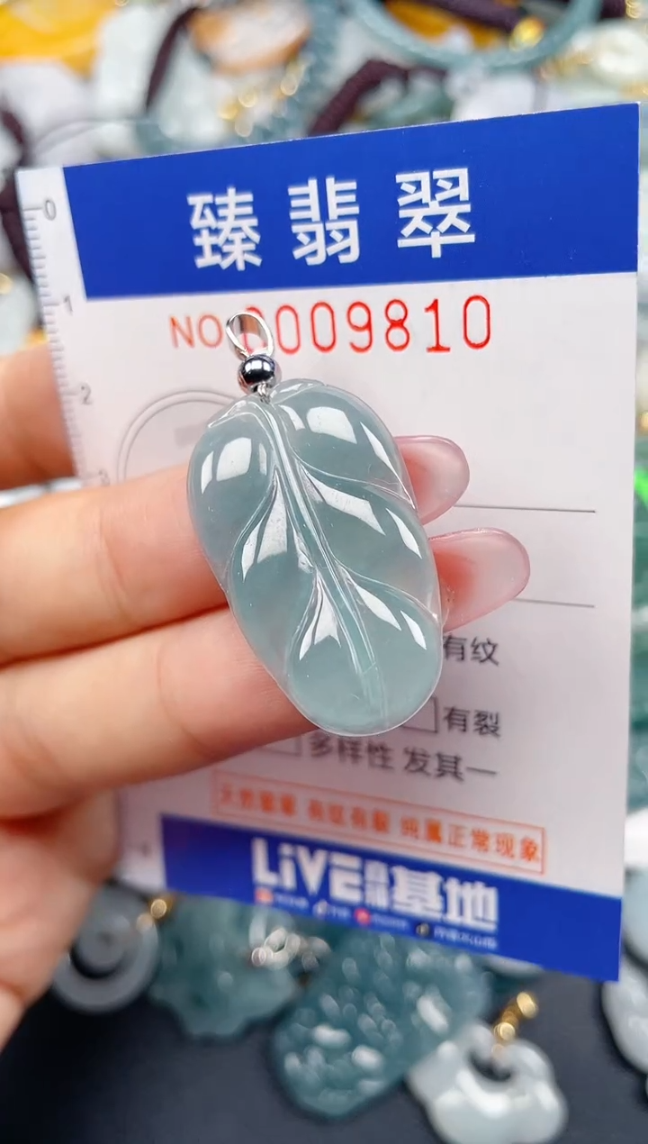 颈饰未镶嵌翡翠.0009810