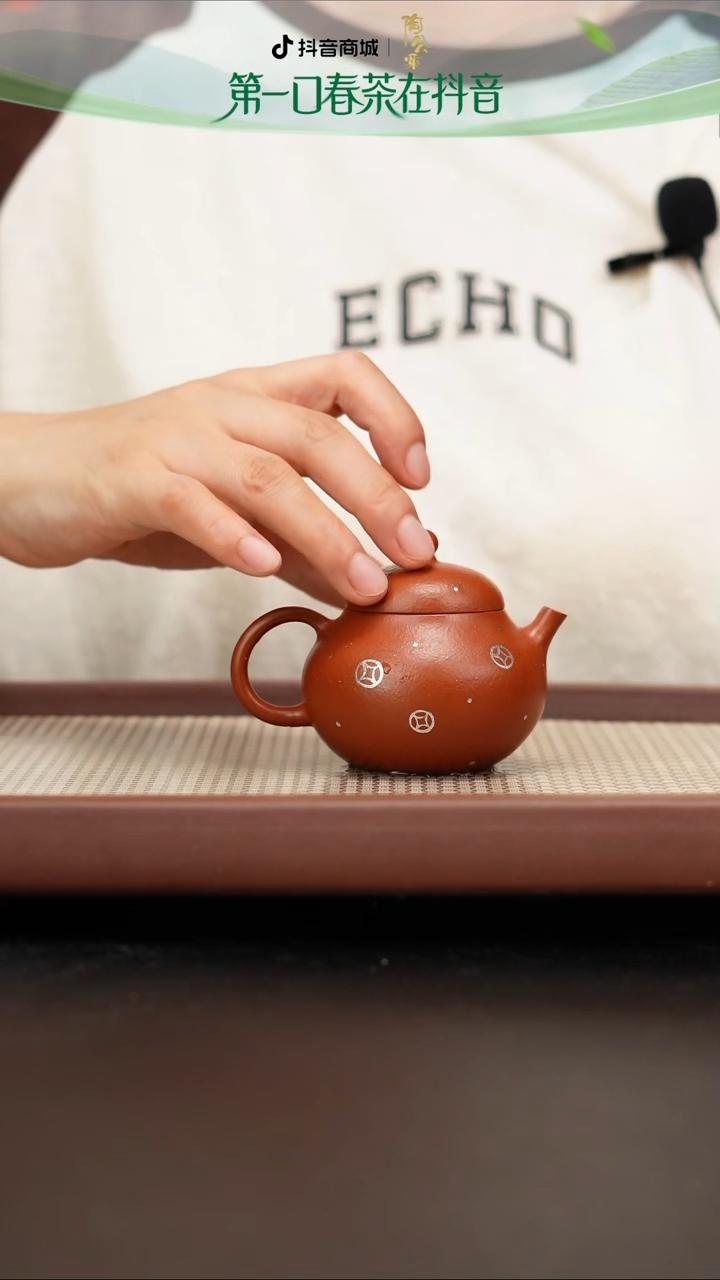 黄龙山朱泥龙蛋描银100cc