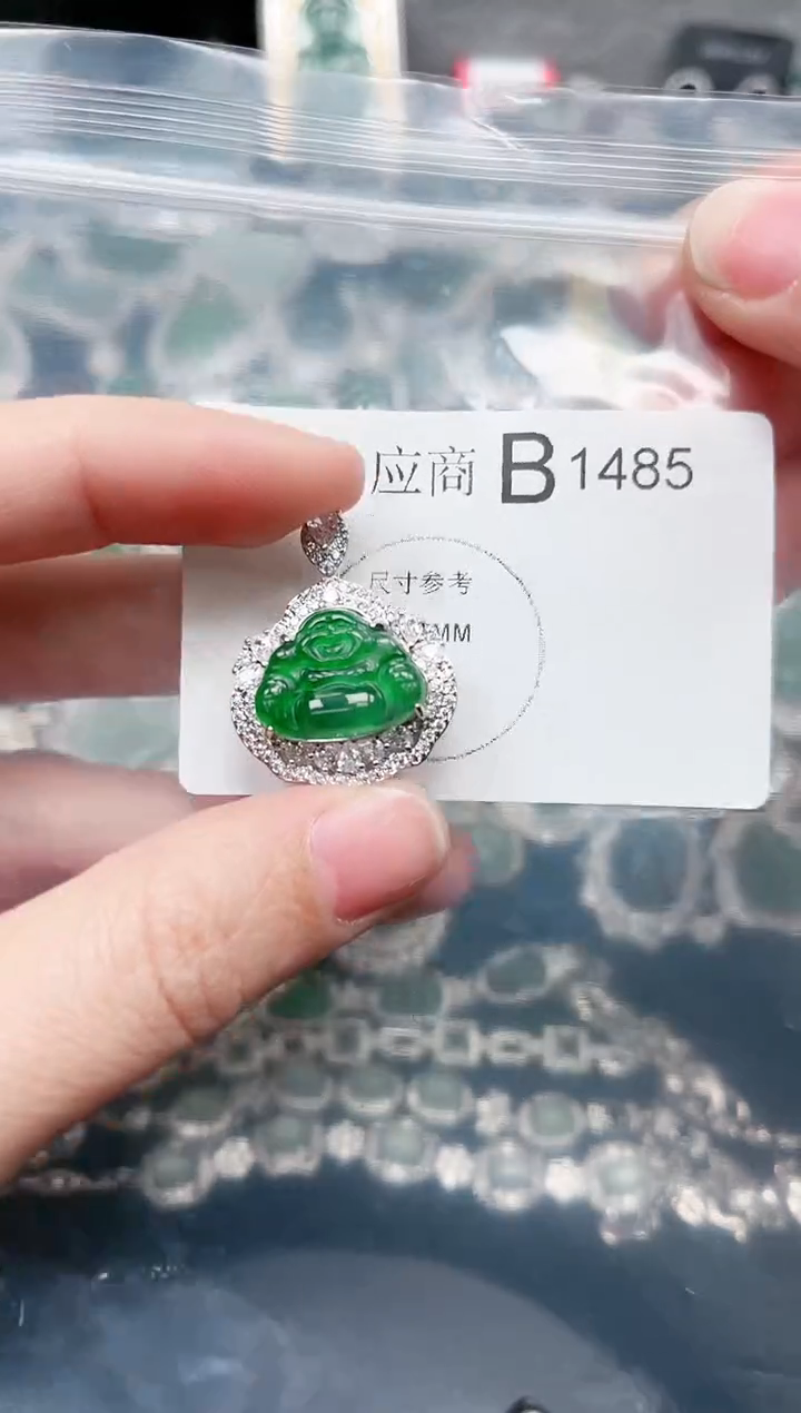 【闪购商品】翡翠颈饰未镶嵌1485赠皮绳