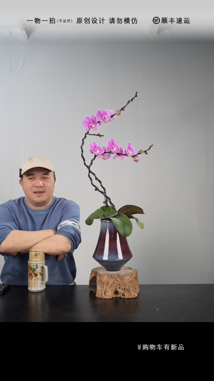 【闪购商品】033号链接【一物一拍】艺术盆景