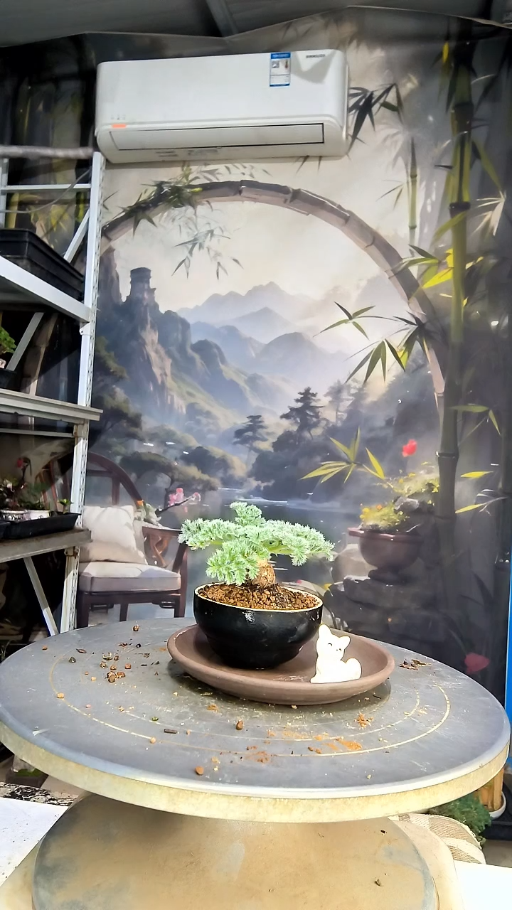 漫**柒中青园艺一物一拍花204