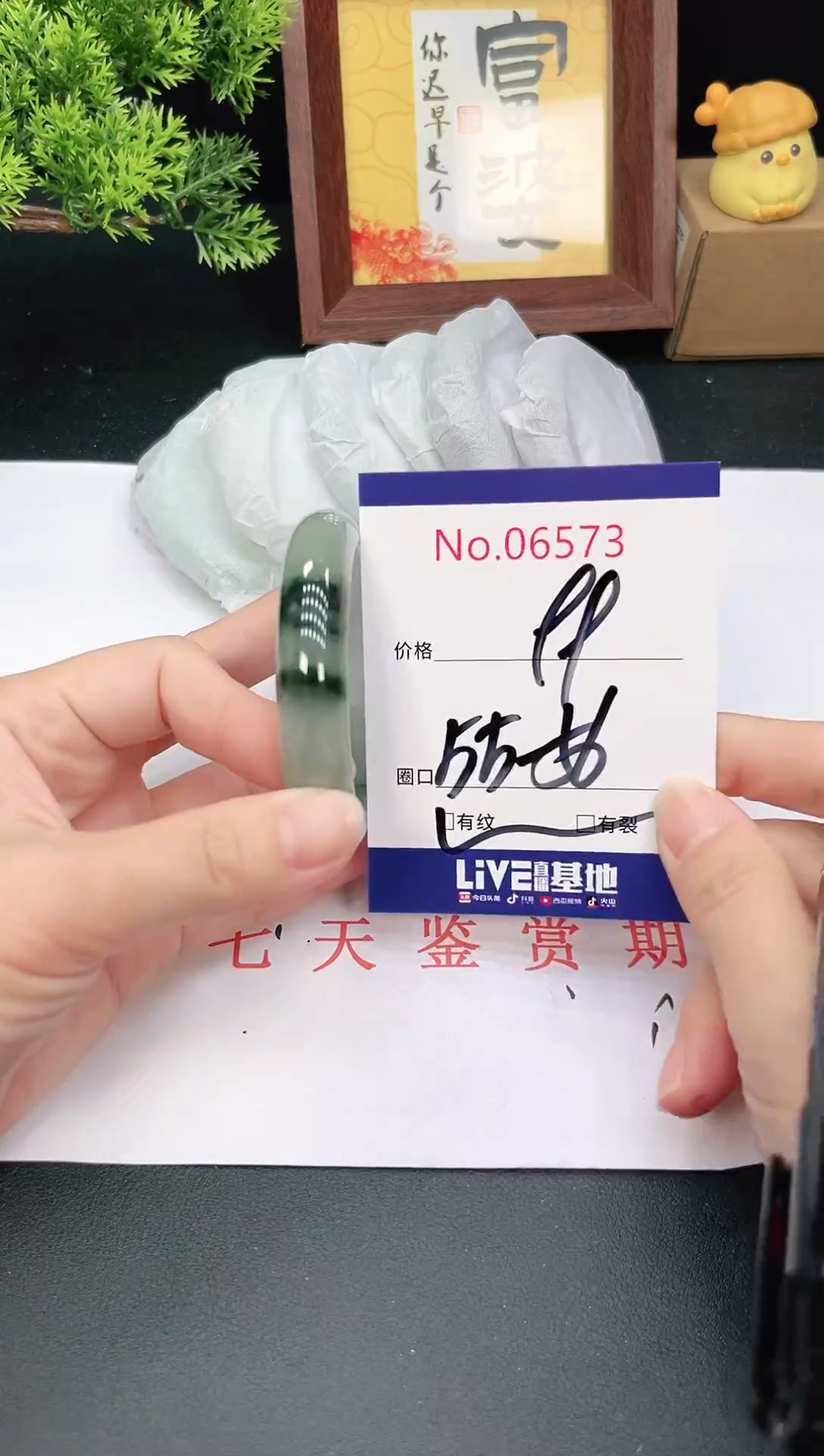 未镶嵌手镯翡翠6573