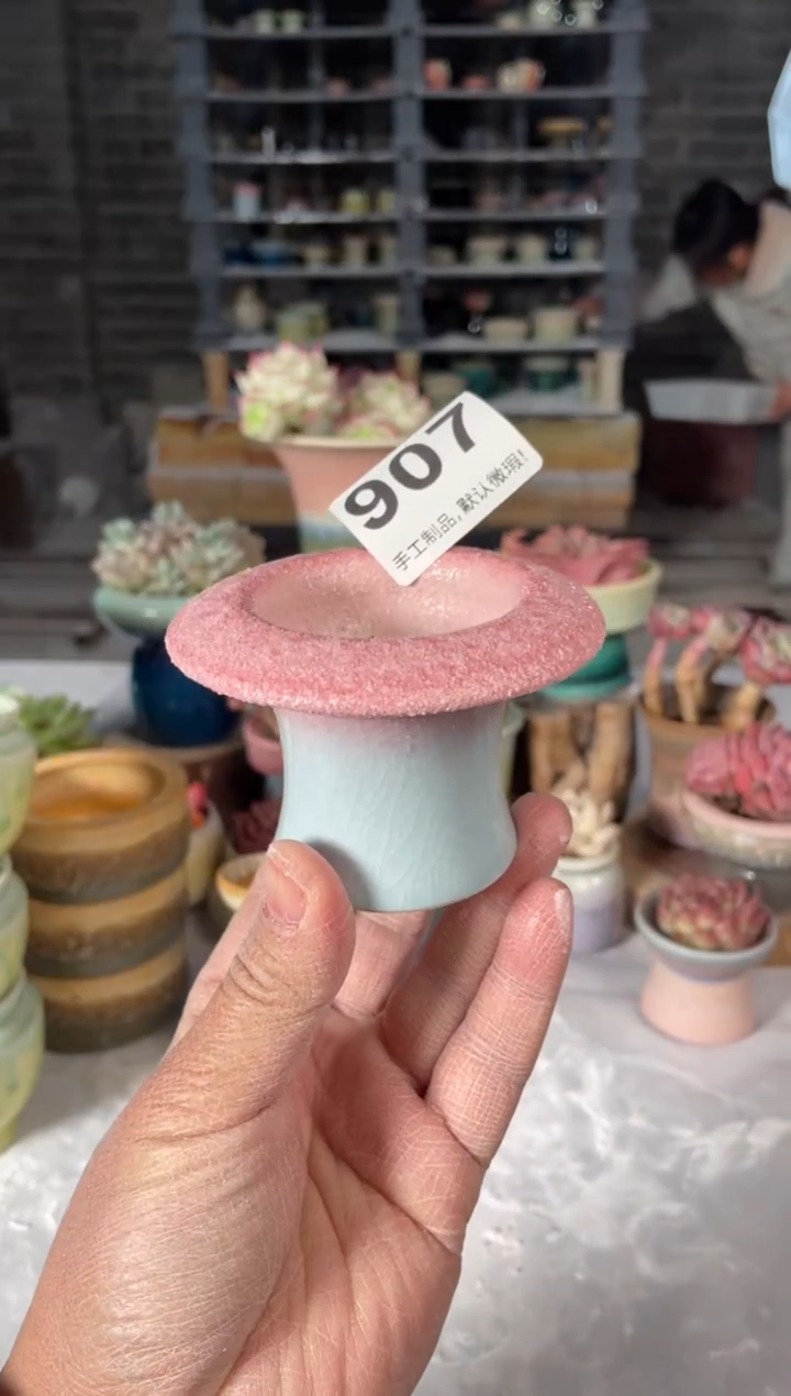 瓷片907小芳直播编号