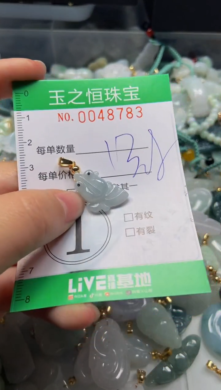 【闪购商品】翡翠颈饰未镶嵌闪购0048783