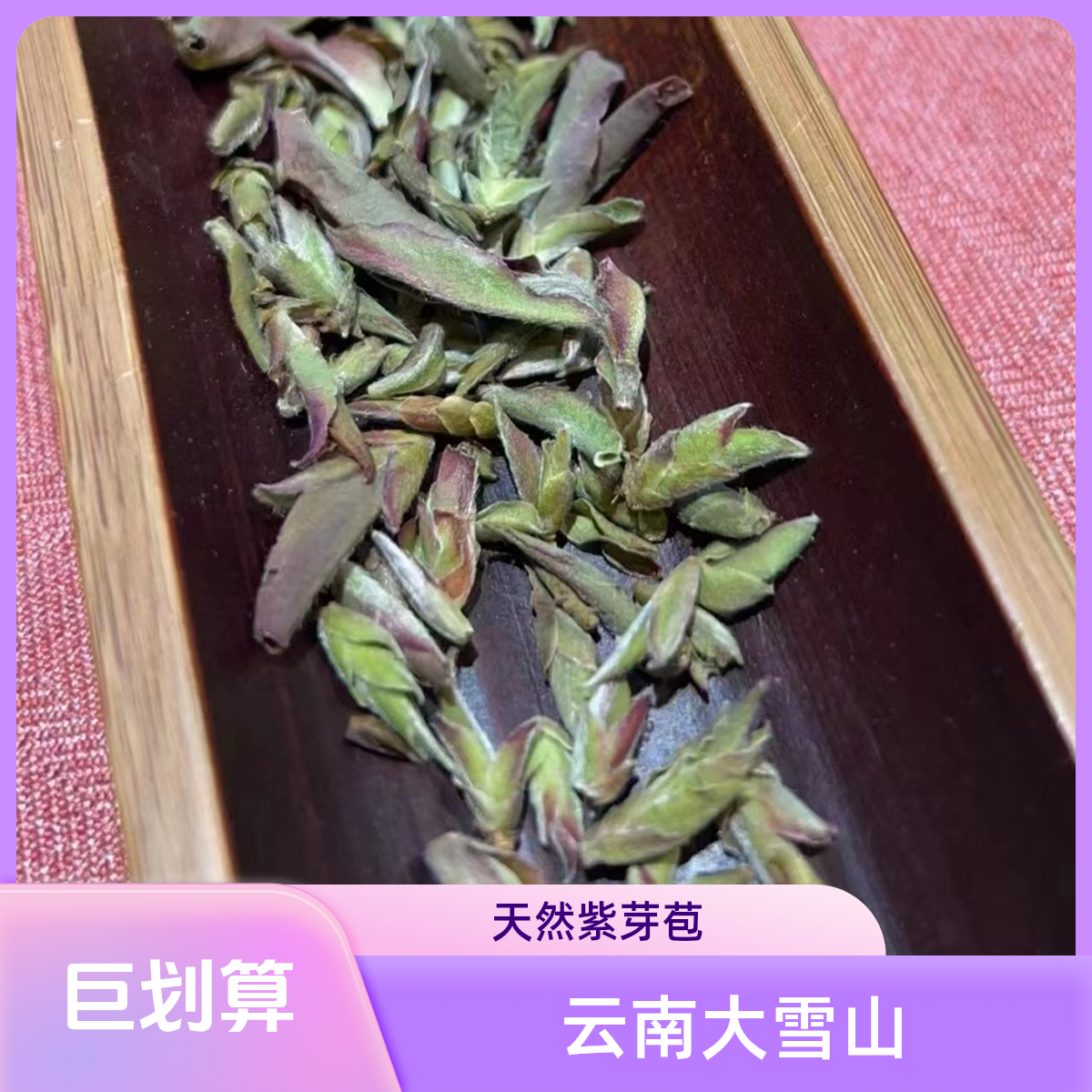 深成2025年早春新茶云南野生紫芽苞茶花香大雪山古树芽孢茶盒装