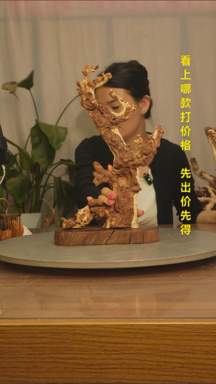 木范***生云南红河金丝红038