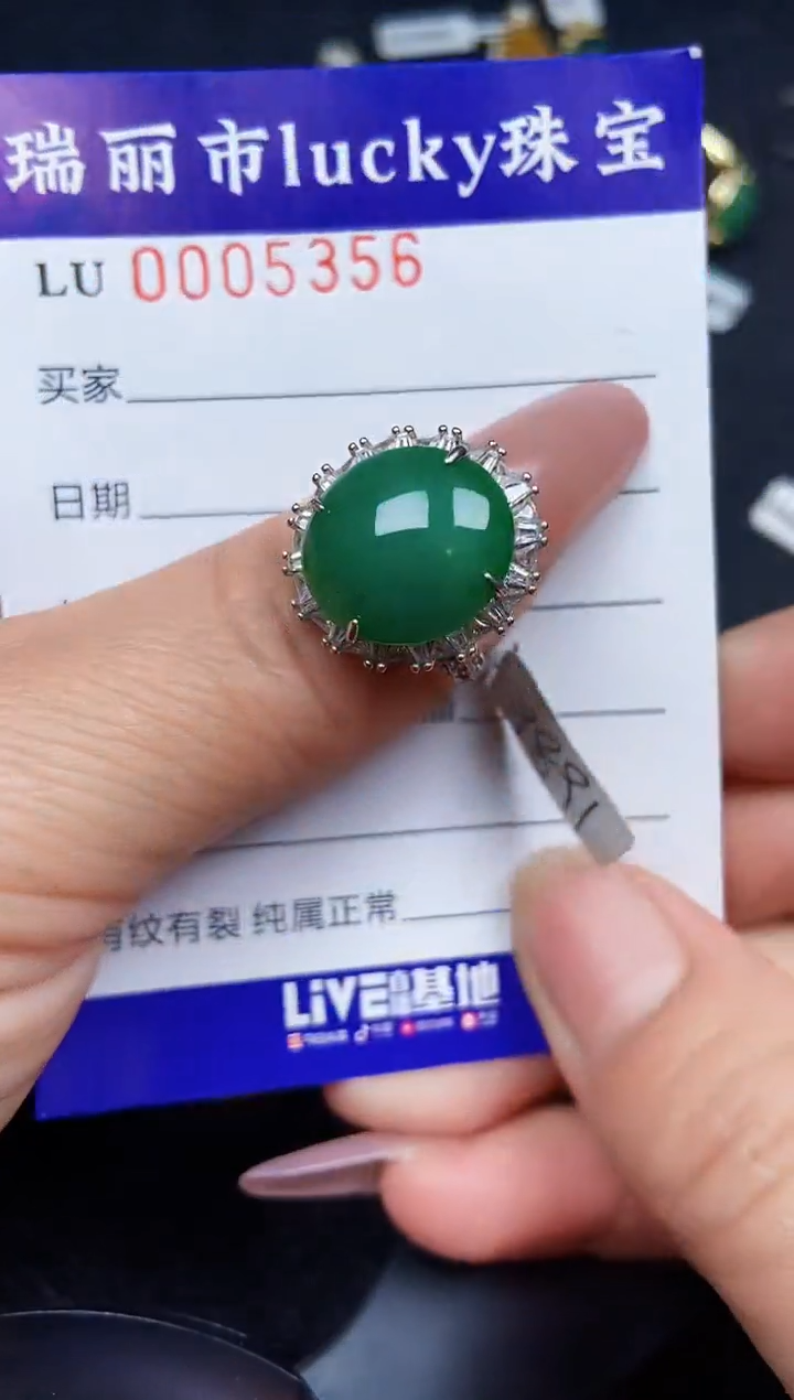 翡翠银S925镶嵌颈饰5356