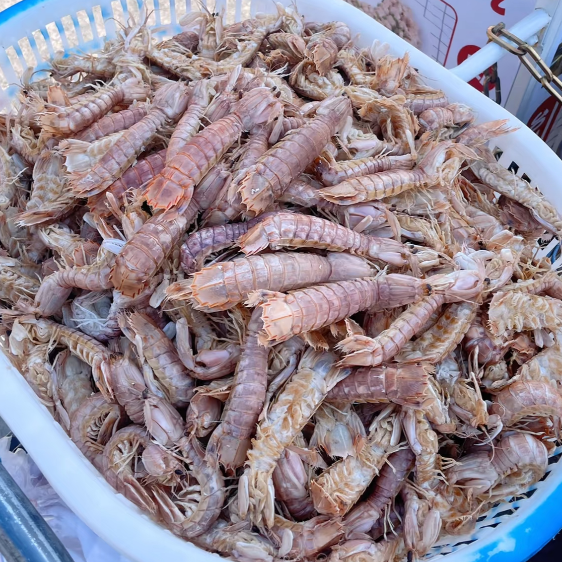 【东海野生皮皮虾】五斤保鲜皮皮虾5斤装发货