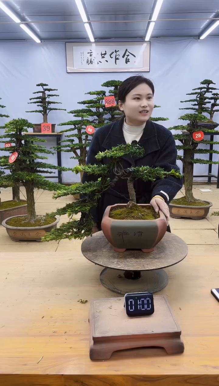 一物一拍，所见即所得